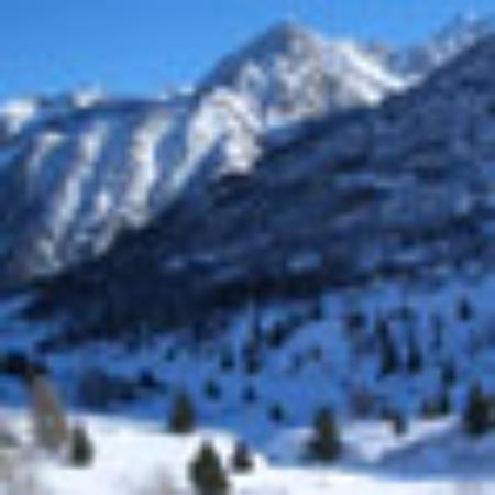 L'Octroi