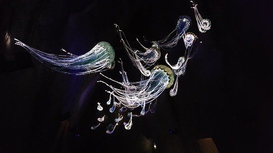 le Mystère des Faluns