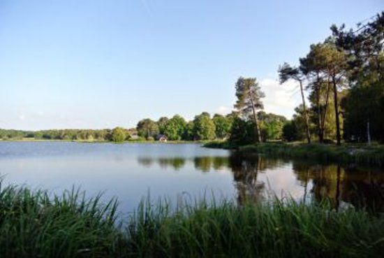 Lac de Rillé