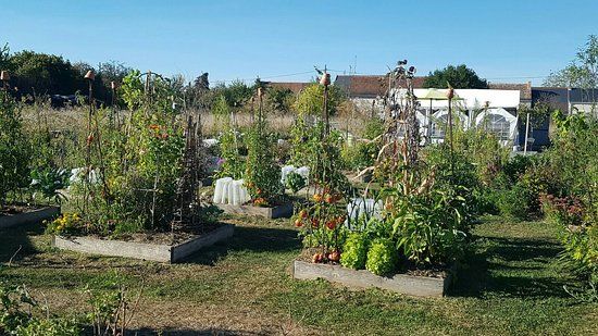 le Potager en Carrés à la Française