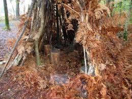 la Forêt de Chambiers