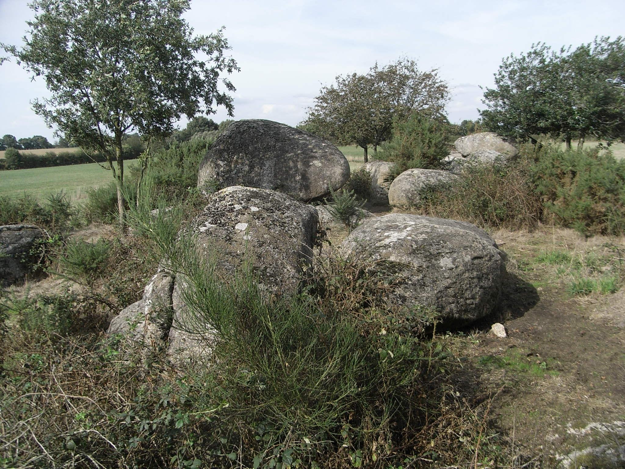 menhir de la Haute-Borne