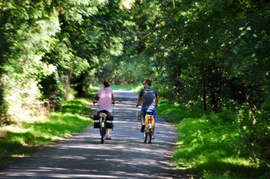 Elo Bike Tours