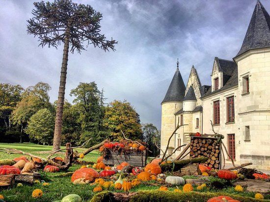 le château de Cangé