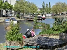 Bord de l'Erdre