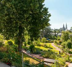 le Jardin Camifolia