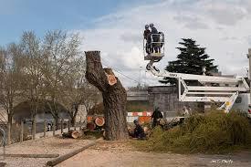 Guinguette de Tours