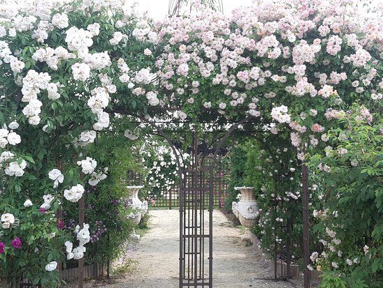 distillerie Terre de Rose